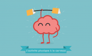 activité physique & cerveau