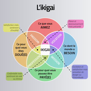 Schéma de l'ikigai