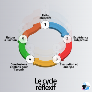 Schéma du cycle réflexif