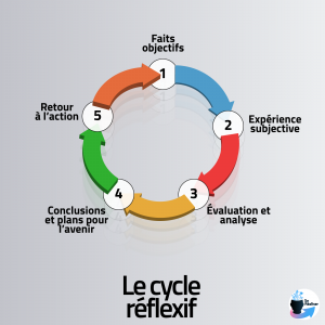 Représentation graphique du cycle réflexif