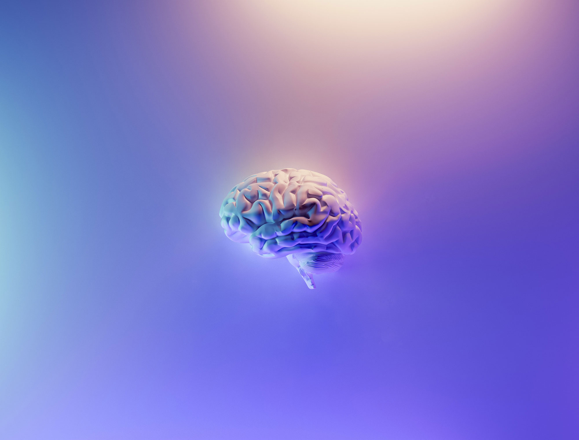 Image 3D de cerveau sur fond violet