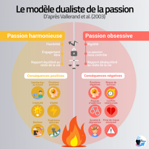 Résumé des effets des deux types de passion