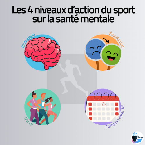Représentation graphique des 4 niveaux d'effets du sport sur la santé mentale