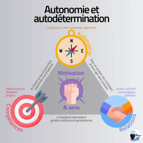 Triangle des besoins liés à l'autodétermination